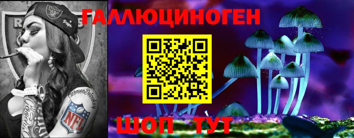 Галлюциногенные грибы мицелий Звенигород